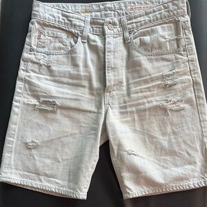 Adriano Goldschmied 27 ex-boyfriend shorts light Gray Jean material